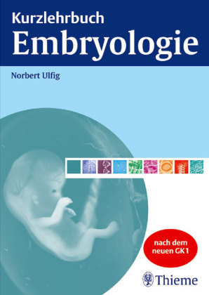 Kurzlehrbuch Embryologie - Norbert Ulfig