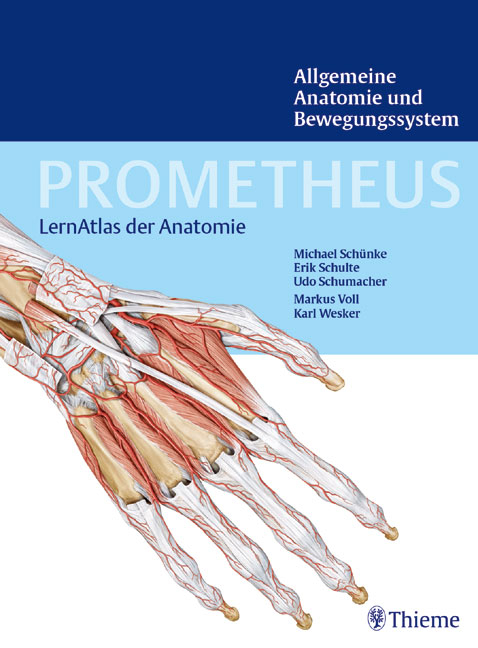 Prometheus LernAtlas der Anatomie: Allgemeine Anatomie und Bewegunssystem - Michael Schünke, Erik Schulte, Udo Schumacher