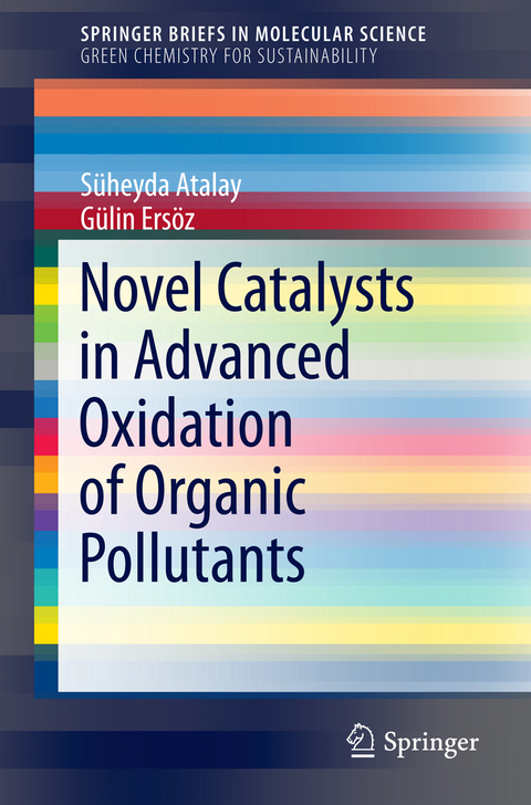 Novel Catalysts in Advanced Oxidation of Organic Pollutants - Süheyda Atalay, Gülin Ersöz