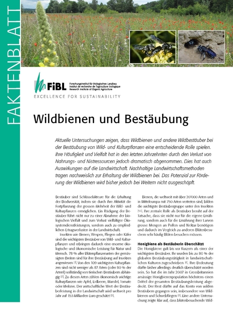 Wildbienen und Bestäubung - Lukas Pfiffner, Andreas Müller