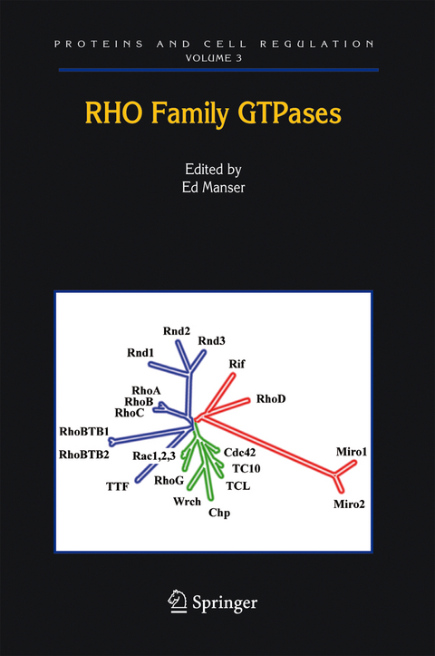 Rho Family GTPases - 