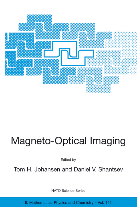 Magneto-Optical Imaging - 