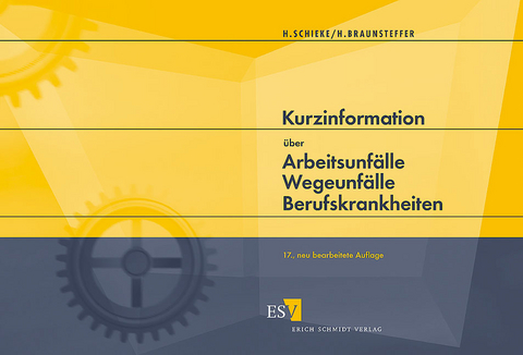 Kurzinformation über Arbeitsunfälle Wegeunfälle Berufskrankheiten - Heinz Schieke, Heike Braunsteffer