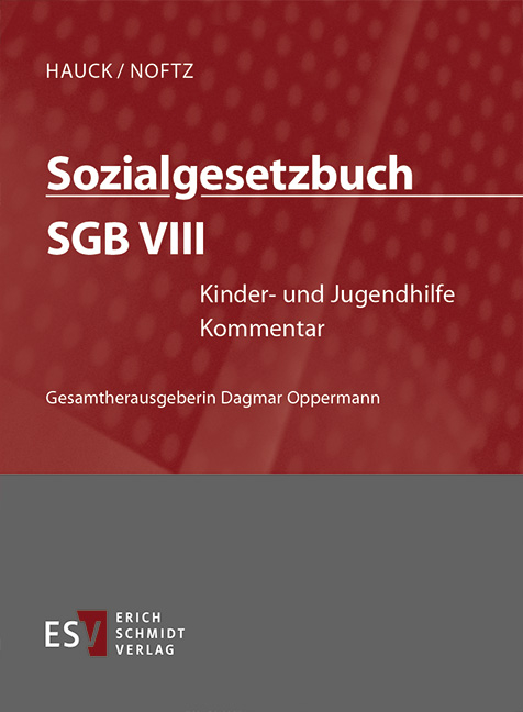 Sozialgesetzbuch (SGB). Kommentar / Sozialgesetzbuch (SGB) VIII: Kinder- und Jugendhilfe - Abonnement Pflichtfortsetzung für mindestens 12 Monate - Minou Banafsche, Renate Bieritz-Harder, Cornelia Bohnert, Michael Greßmann, Christian Grube, Guido Kirchhoff, Benjamin Raabe, Wolfgang Rombach, Axel Stähr, Wolfgang Trede