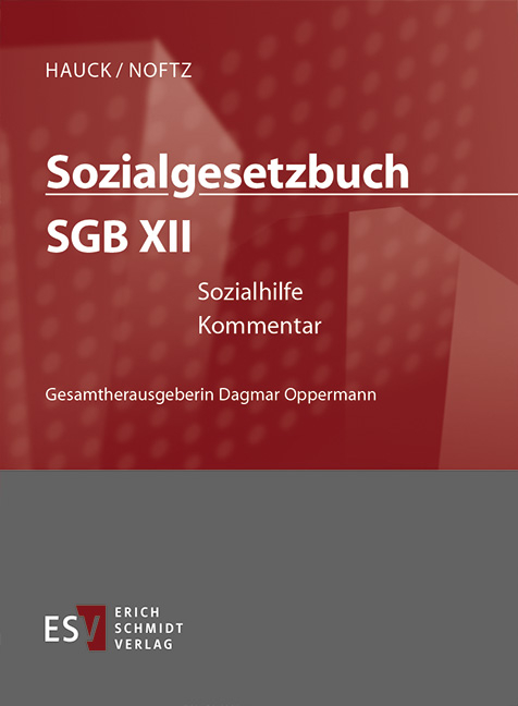 Sozialgesetzbuch (SGB). Kommentar / Sozialgesetzbuch (SGB) XII: Sozialhilfe - Abonnement Pflichtfortsetzung für mindestens 12 Monate - Johannes Falterbaum, Guido Kirchhoff, Thomas Klie, Ines Klinge, Karina Krohn, Ernst-Wilhelm Luthe, Volker Schlette, Thomas Voelzke