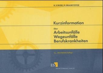 Kurzinformation über Arbeitsunfälle - Wegeunfälle - Berufskrankheiten - Heinz Schieke, Heike Braunsteffer