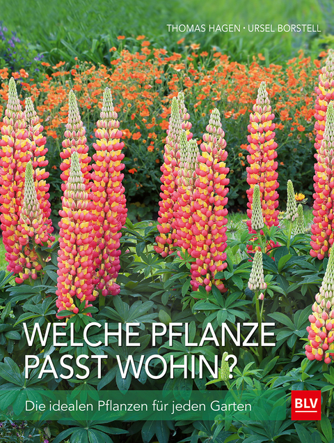 Welche Pflanze passt wohin? - Thomas Hagen, Ursel Borstell