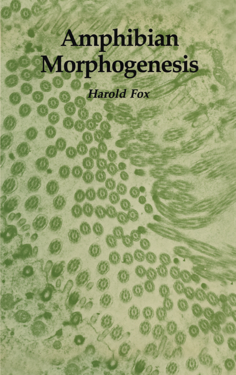 Amphibian Morphogenesis - Harold Fox