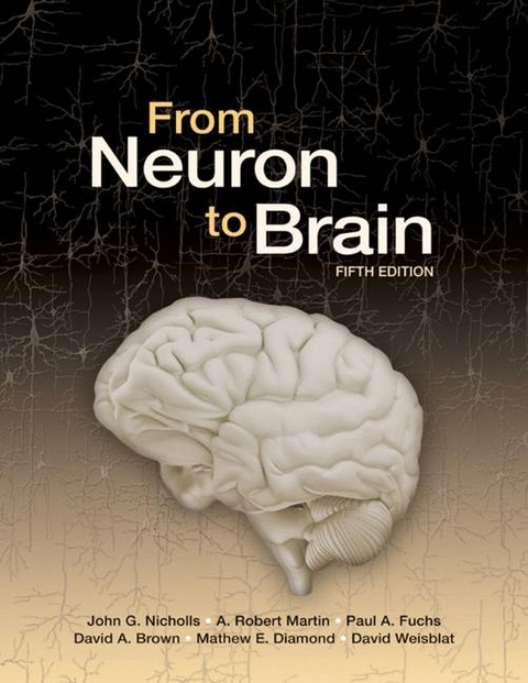 From Neuron to Brain - John G. Nicholls, A.Robert Martin, Paul A. Fuchs, David A. Brown