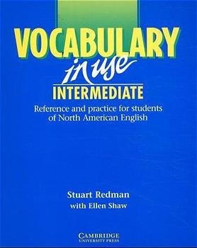 Vocabulary in Use