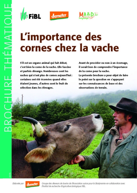 L'importance des cornes chez la vache - Anet Spengler Neff, Beatrice Hurni, Ricco Streiff, Martin Bigler, Robert Haeni, Silvia Ivemeyer, Mechthild Knösel, Andreas Letsch, Thomas Loeffler, Herman Lutke Schipholt, Alexander Mayer, Peter Mika, Christian Müller, Dorothee Müller, Hans Oswald, Rochus Schmid, Urs Sperling, Heinrich Till, Andi Wälle