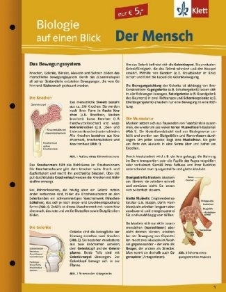 Biologie auf einen Blick