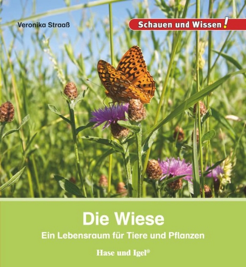 Die Wiese - Veronika Straaß