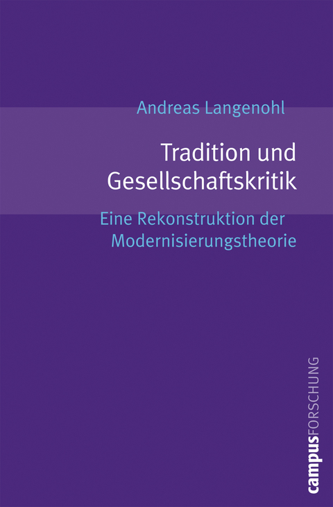 Tradition und Gesellschaftskritik - Andreas Langenohl