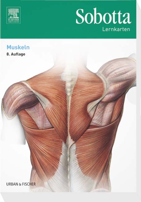 Sobotta Lernkarten Muskeln - Lars Bräuer