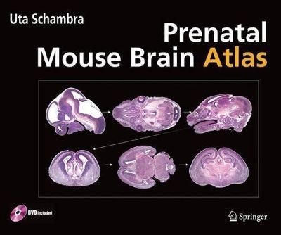 Prenatal Mouse Brain Atlas - Uta Schambra