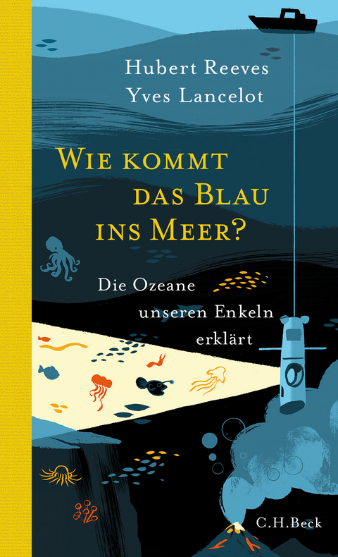 Wie kommt das Blau ins Meer? - Hubert Reeves, Yves Lancelot