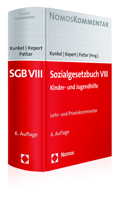 Sozialgesetzbuch VIII - 