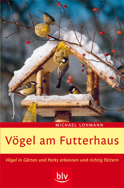 Vögel am Futterhaus - Michael Lohmann