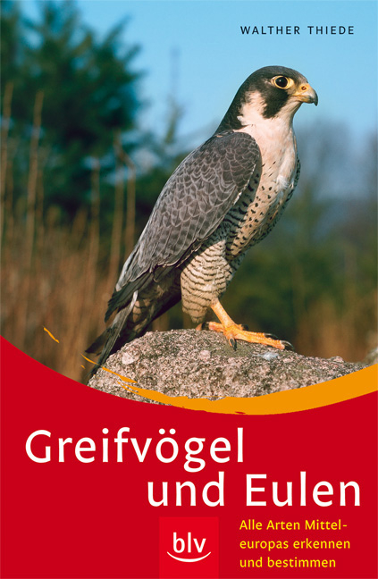 Greifvögel und Eulen - Walther Thiede