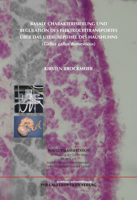 Basale Charakterisierung und Regulation des Elektrolyttransportes über das Uterusepithel des Haushuhns (Gallus gallus domesticus) - Kirsten Brockmeier