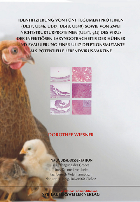 Identifizierung von fünf Tegumentproteinen (UL37, UL46, UL47, UL48, UL49) sowie von zwei Nichtstrukturproteinen (UL31, gG) des Virus der infektiösen Laryngotracheitis der Hühner und Evaluierung einer UL47-Deletionsmutante als potentielle Lebendvirus-Vakzine - Dorothee Wiesner