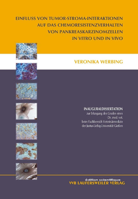 Einfluss von Tumor-Stroma-Interaktionen auf das Chemoresistenzverhalten von Pankreaskarzinomzellen in Vitro und in Vivo - Veronika Werbing