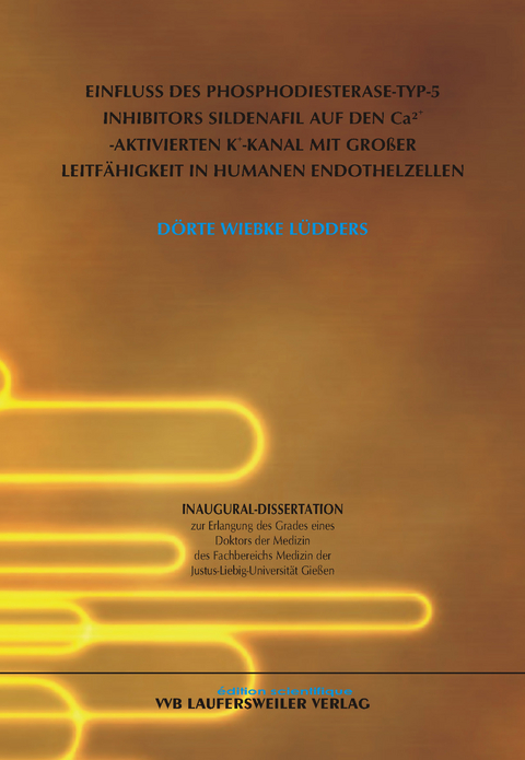 Einfluss des Phosphodiesterase-Typ-5 Inhibitors Sildenafil auf den Ca2+-aktivierten K+-Kanal mit großer Leitfähigkeit in humanen Endothelzellen - Dörte Lüdders