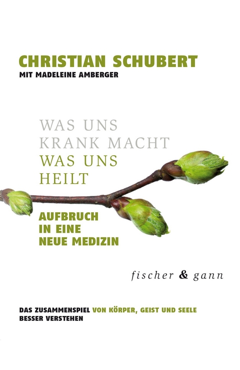 Was uns krank macht – Was uns heilt - Christian Schubert