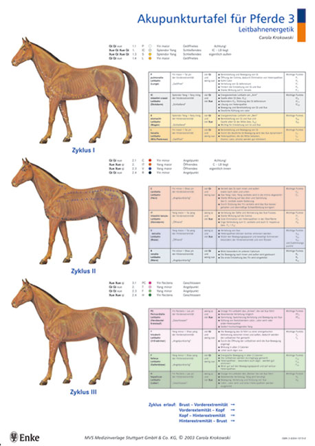 Akupunkturtafeln für Pferde 3 + 4 - Carola Krokowski