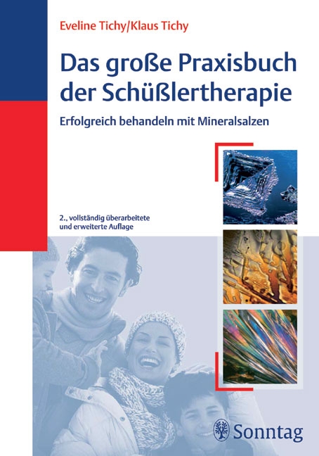 Das große Praxisbuch der Schüßlertherapie - Eveline Tichy, Klaus Tichy