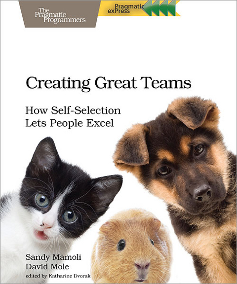 Creating Great Teams - David Mole, Sandy Mamoli