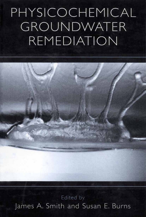 Physicochemical Groundwater Remediation -  James A. Smith