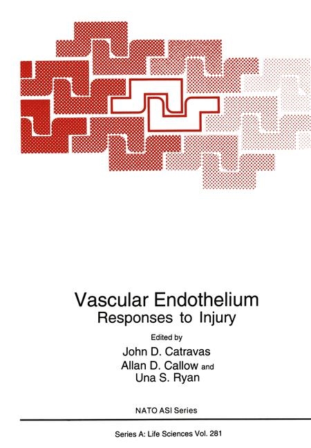 Vascular Endothelium - 