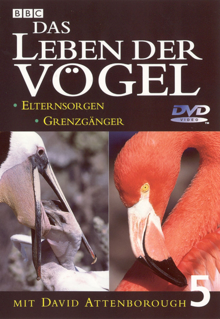 Das Leben der Vögel. Paket