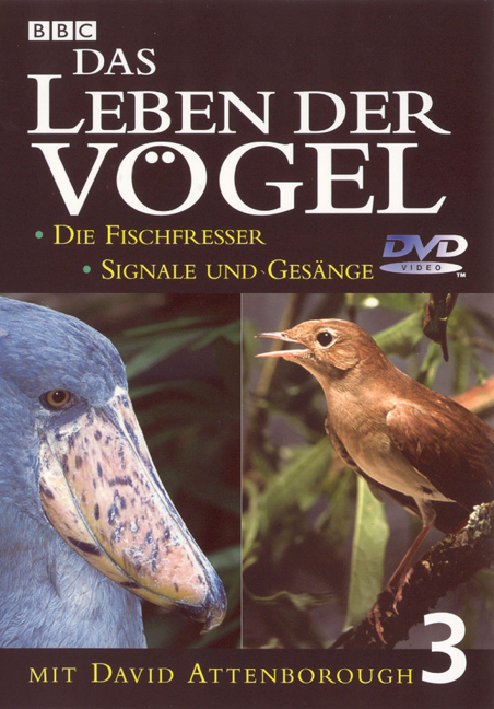 Das Leben der Vögel. Paket