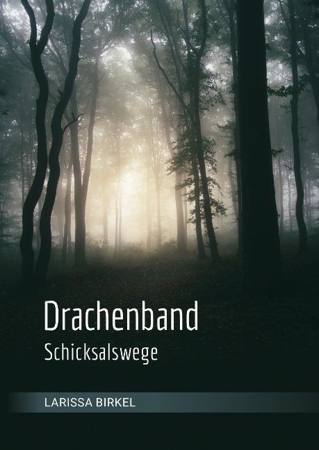 Drachenband - Larissa Birkel