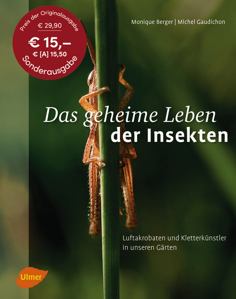 Das geheime Leben der Insekten - Monique Berger, Michel Gaudichon