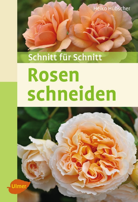 Rosen schneiden - Heiko Hübscher