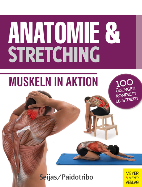 Anatomie & Stretching (Anatomie & Sport, Band 2) - Guilermo Seijas