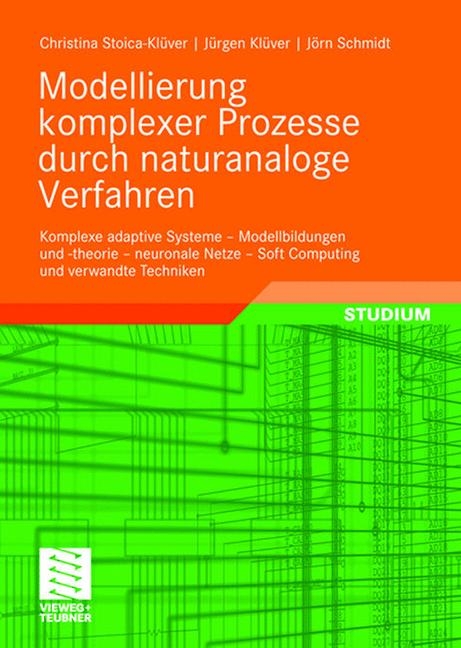 Modellierung komplexer Prozesse durch naturanaloge Verfahren - Christina Klüver, Jürgen Klüver, Jörn Schmidt