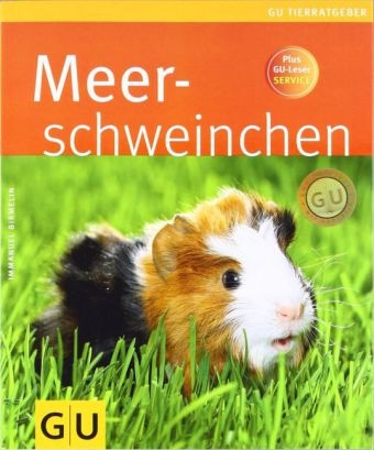 Meerschweinchen - Immanuel Birmelin