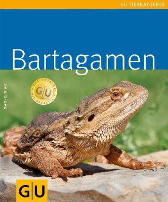 Bartagamen - Manfred Au