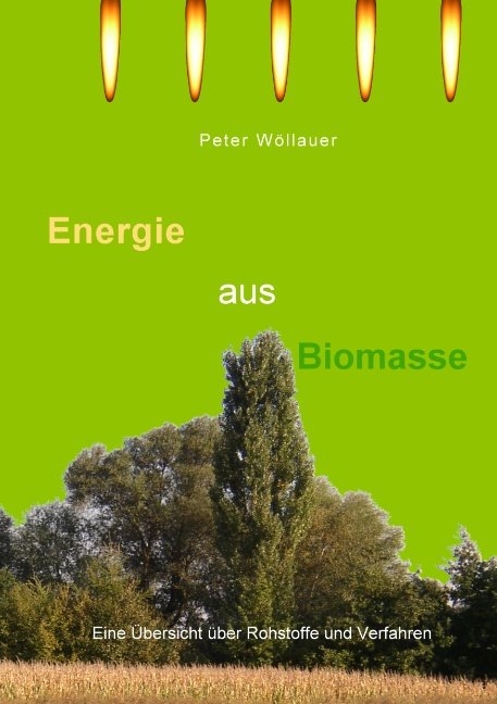 Energie aus Biomasse - Peter Wöllauer