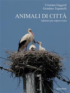 Animali di città - Cristiano Gaggioli, Giordano Tognarelli