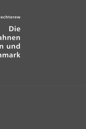 Die Leitungsbahnen im Gehirn und Rückenmark - Wladimir M Bechterew