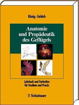 Anatomie und Propädeutik des Geflügels - H Bragulla