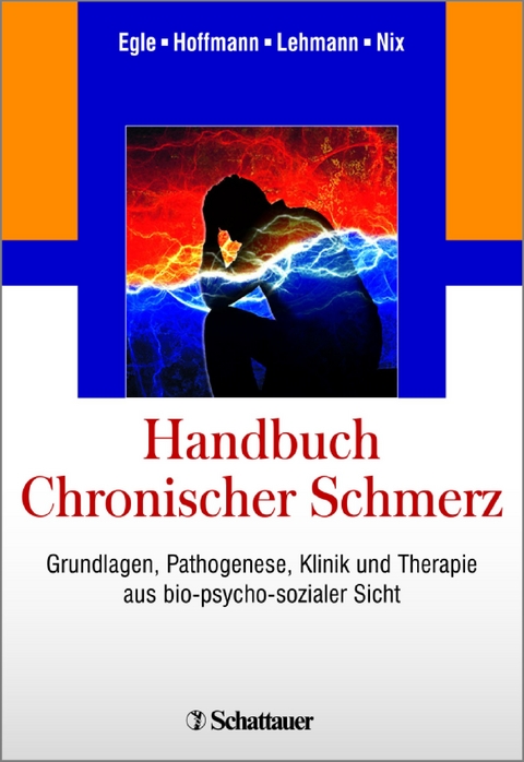 Handbuch Chronischer Schmerz - 