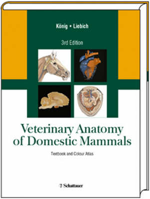 Veterinary Anatomy of Domestic Mammals - 