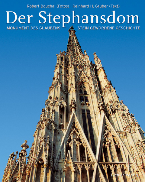 Der Stephansdom - Reinhard H Gruber